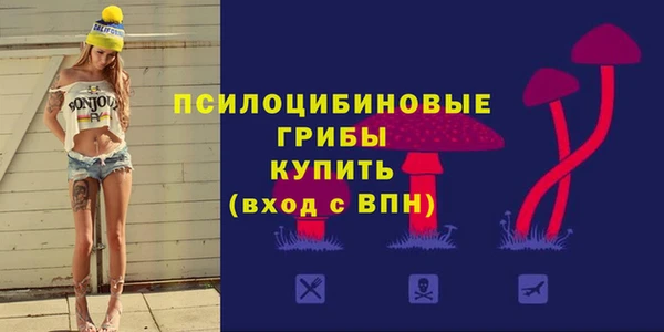 не бодяженный Аркадак