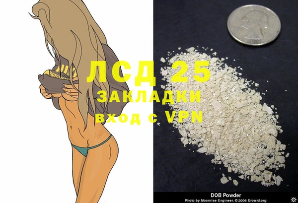 ПСИЛОЦИБИНОВЫЕ ГРИБЫ Арсеньев